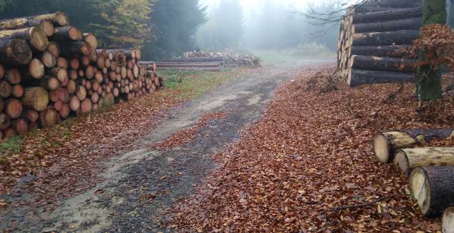 Návrh struktury oceňovacího standardu