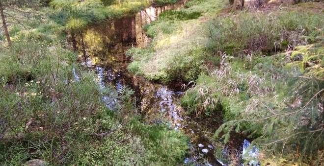 Oceňování lesa a cenové srážky ve ZCHÚ